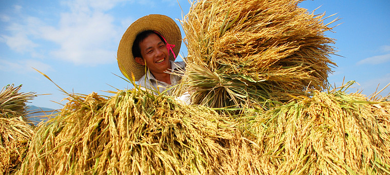 踐行國(guó)家惠農(nóng)政策