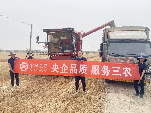 三夏大忙助豐收系列1：田間助農，顆粒盡收